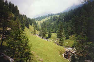 Salate valley